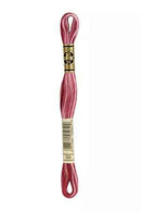 DMC 6-Strand Cotton Embroidery Floss - Redouté Rose Ombre, 117 99