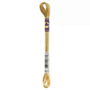 DMC 6-Strand Color Variations - Toasted Almond, 417F 4072
