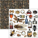 Ciao Bella 6x6 Fussy Cut Pad 24Pc - Cabinet of Curiosities, CBQE085