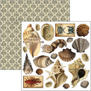 Ciao Bella 6x6 Fussy Cut Pad 24Pc - Cabinet of Curiosities, CBQE085
