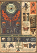 Ciao Bella A5 Rice Papers 8pc - Cabinet of Curiosities - Mixed, CBRS010