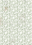 Ciao Bella Vellum Cabinet Of Curiosities Paper - Patterns A4 6pc, CBV024
