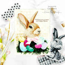 Stampers Anonymous Stamp & Die Sets- Mr. Rabbit, CMS478+MRD by: Tim Holtz