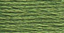 DMC 6-Strand Cotton Floss - Medium Pine Green, 117-3363
