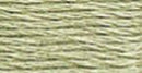 DMC 6-Strand Cotton Floss - Very Light Fern Green, 117-524
