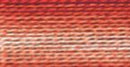 DMC 6-Strand Cotton Embroidery Floss - Variegated Terra Cotta, 117-69
