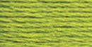 DMC 6-Strand Embroidery Floss - Light Parrot Green, 117-907