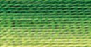 DMC 6-Strand Cotton Embroidery Floss - Variegated Avocado, 117-92