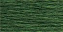 DMC 6-Strand Cotton Embroidery Floss - Very Dark Forest Green, 117-986