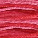 DMC 6-Strand Cotton Embroidery Floss - Passion Pink Ombre, 117 107