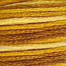 DMC 6-Strand Cotton Embroidery Floss - Burnt Savannah Ombre, 117 111
