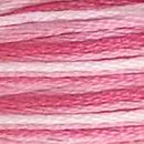 DMC 6-Strand Cotton Embroidery Floss - Indian Rose Ombre, 117 48