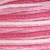 DMC 6-Strand Cotton Embroidery Floss - Indian Rose Ombre, 117 48