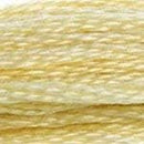 DMC 6-Strand Cotton Embroidery Floss - Very Light Old Gold, 117 677