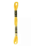 DMC 6-Strand Cotton Embroidery Floss - Grapefruit, 117 744