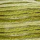 DMC 6-Strand Cotton Embroidery Floss - Moss Green Ombre, 117 94