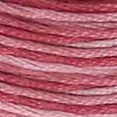 DMC 6-Strand Cotton Embroidery Floss - Redouté Rose Ombre, 117 99