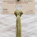 Weeks Dye Works 6-Strand Embroidery Floss 5yd - Kudzu, 2200