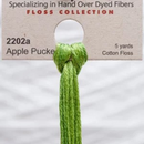 Weeks Dye Works 6-Strand Embroidery Floss 5yd - Apple Pucker, 2202a
