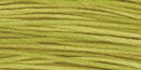 Weeks Dye Works 6-Strand Embroidery Floss 5yd - Grasshopper, 2205