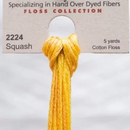 Weeks Dye Works 6-Strand Embroidery Floss 5yd - Squash, WDW-2224