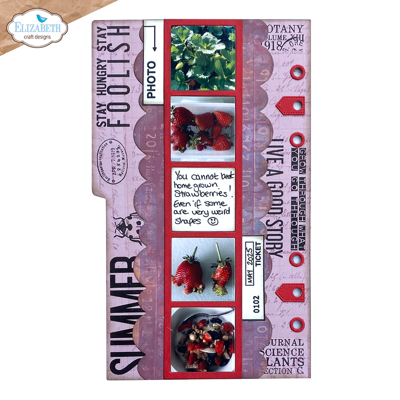 Coming Soon - Elizabeth Craft Designs Die Set - Photoframe Inlay, 2282
