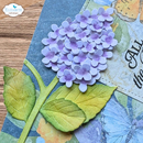 Elizabeth Craft Designs Die Set - Panicle Hydrangea, 2348