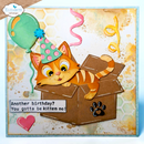 Elizabeth Craft Designs Die Set - Surprise Box, 2374