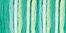DMC 6-Strand Color Variations - Water Lilies, 417F-4040