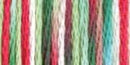 DMC 6-Strand Color Variations - Very Merry, 417F-4042
