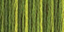 DMC 6-Strand Color Variations - Amazon Moss, 417F 4066