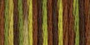 DMC 6-Strand Color Variations - Camouflage 417F 4068