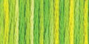 DMC 6-Strand Color Variations - Margarita, 417F-4069