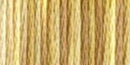 DMC 6-Strand Color Variations - Toasted Almond, 417F 4072