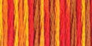 DMC 6-Strand Color Variations - Fall Harvest, 417F 4122