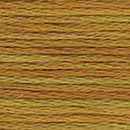 DMC 6-Strand Color Variations - Peanut Brittle, 417F 4129