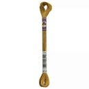 DMC 6-Strand Color Variations - Peanut Brittle, 417F 4129