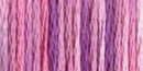 DMC 6-Strand Color Variations - Enchanted, 417F 4260