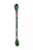 DMC 6-Strand Color Variations - New Forest, 417F 4045