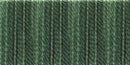 DMC 6-Strand Color Variations - Evergreen Forest, 417F-4045