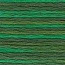 DMC 6-Strand Color Variations - Emerald Isle, 417F 4047