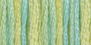DMC 6-Strand Color Variations - Weeping Willow, 417F-4060