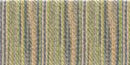 DMC 6-Strand Color Variations - Morning Meadow, 417F-4065