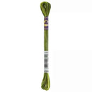 DMC 6-Strand Color Variations - Amazon Moss, 417F 4066