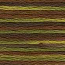 DMC 6-Strand Color Variations - Camouflage 417F 4068