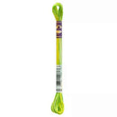 DMC 6-Strand Color Variations - Margarita, 417F 4069