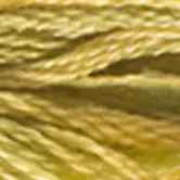 DMC 6-Strand Color Variations - Grasslands, 417F 4070