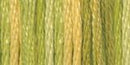 DMC 6-Strand Color Variations - Autumn Leaves, 417F 4070