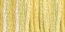 DMC 6-Strand Color Variations - Daffodil Fields, 417F 4080