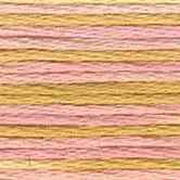 DMC 6-Strand Color Variations - Cupcake, 417F 4095